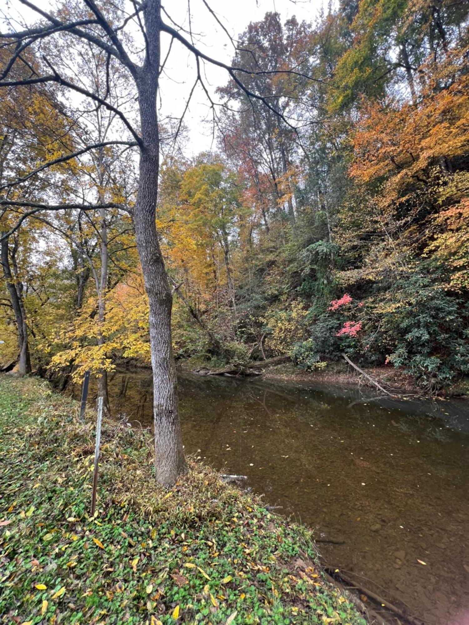 Firefly Fields 2-Acres With Guest House, Game Room, Mountain & River Views Sevierville Esterno foto